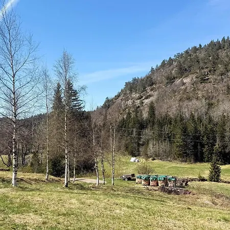 Vakantiehuis 4 Star In *