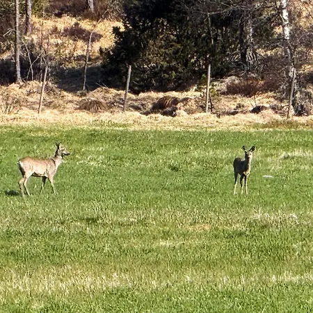 Σπίτι διακοπών 4 Star In Grimstad (Aust-Agder)
